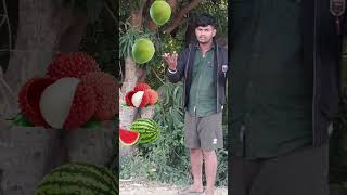 Rounding coconut to Grapes, Mango, lichi \u0026Watermelon - Fruits names magic video #shorts