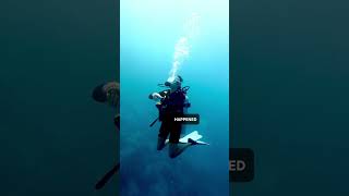 Maldives Diving Incident Remains a Mystery So Far