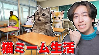 『猫ミーム』に変身して生活してみた結果！？ロブロックス【ROBLOX】