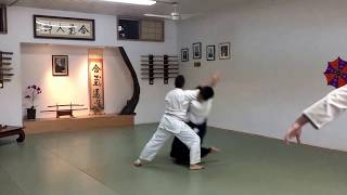 1st Kyu Test Ny Aikikai