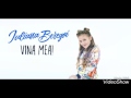 Iuliana Beregoi-Vina mea
