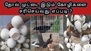 தோல் முட்டை இடும் கோழியை சரிசெய்வது எப்படி ?how to cure shellless skinny/layer egg problem(tamil).).