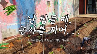 [#오하팔, 오늘하루팔복] 팔복예술공장 텃밭에서 농사 짓는 직장인들 🌱