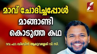 മാവ്  ചോദിച്ചപ്പോൾ  മാങ്ങാണ്ടി  കൊടുത്ത  കഥ |FR.DIBIN ALUVASSERY VC |GOODNESS TV |