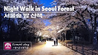 [4K] Night Walk in Seoul Forest (feat. Cherry Blossoms) // 서울숲 밤 산책 // Travel Vlog // 모리슨 영상여행