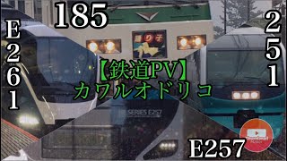 【鉄道PV】カワルオドリコ