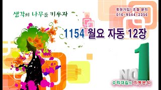 1154회 월요 자동 12장  / 당첨 길라잡이 수리대길과 함께 하세요