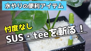 【観葉植物の育て方】水やりチェッカー・サスティーの使い方【初心者向け】【室内園芸】