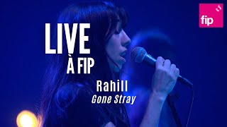 Live à FIP :  @rahill  « Gone Stray »