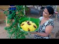 Yellow Rice, and Easy Dhal Wade and Spiced Fish Curry,  mali cooking