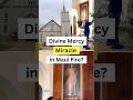 Divine Mercy miracle in Maui fire? Learn the promises of the Divine Mercy Image. #divinemercy