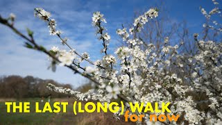 Last Walk before the Lockdown | Epping Forest - River Roding (4K)