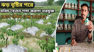 ঝড় বৃষ্টির কারণে আপনার ফসলে কোন কোন সমস্যা দেখা দিতে পারে । সমাধান জানুন এই ভিডিওতে