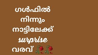 ഗൾഫിൽ നിന്നും പറയാതെ നാട്ടിലേക്ക് സർപ്രൈസ് ആയിട്ട് വരണം woow 🥀