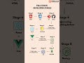 Becoming a Full Stack Developer!