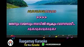 Thenum Vayambum Karaoke with Lyrics Malayalam   HQ Karaoke