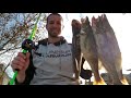 november saugeye with the abu garcia revo ike duckett green ghost rod and a mimic minnow