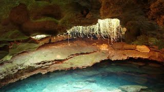 Cave Diving Gone HORRIBLY WRONG - DEVIL'S DEN Unsolved Mystery