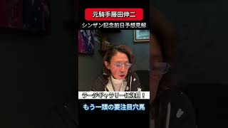 【シンザン記念前日予想見解】前走ルメール騎手の注目穴馬。#藤田伸二#ラージギャラリー #競馬 #競馬予想 #シンザン記念