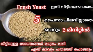 യീസ്റ്റ് ഇനി കടയിൽ നിന്ന് വാങ്ങേ വേണ്ട Yeast വീട്ടിലുണ്ടാക്കാം 5 പൈസാ  ചിലവില്ലാതെ | Homemade Yeast