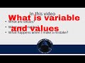 What is Variables | What is value | How to Initialize | Mistakes in Declaration in C#|THINK LIKE PRO