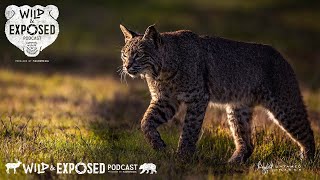 Crew Catch Up!  Lost Antlers, Bobcats, Sprinter Vans, Pro Tips, and More!