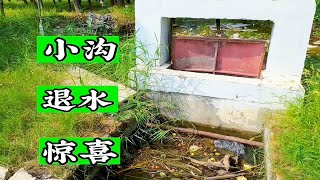 万万没想到这臭水沟里竟然这么藏鱼