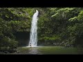 como laucala island fiji