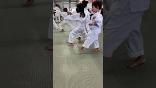 FSKA karate class