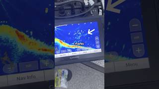 Stop using livebait and do this instead!
