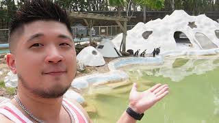 AppleV＿JUSTVLOG/:AFA 這是阿法 ｜台南旅遊｜頑皮世界｜可愛動物｜2023 May 台南旅行