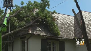Cleaning Up After Powerful Storms In Dallas