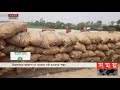 খোলা আকাশের নিচে লাখ লাখ মেট্রিক টন আলু munshiganj potato business news somoy tv