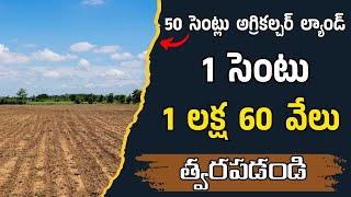 50 సెంట్లు ఓపెన్ ల్యాండ్ # Green Land Real Estates # 9676215456