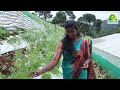 വീട്ടിൽ മല്ലി വളർത്താം .. ഈസി ആണ് growing coriander at home agri tips malayalam