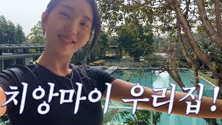 치앙마이 해외이주 ep.4 드디어 이사했어요! (feat. 2주만에 울음 터트린 쫑비🥲)