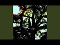 Roots