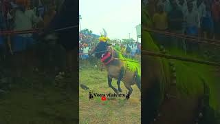 🔅143 காளை  களத்தில்  ஆட்ட நாயகன் 🕺 இவன் #eruthattam #jallikattu #veeravilayattu #shorts #2023.😇😇