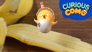 Curious Como | Banana | Cartoon video for kids | Como Kids TV