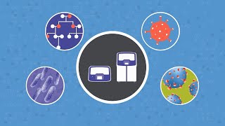 Next generation solutions for clinical research - automated specimen-to-report NGS in a single day