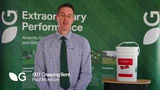 Germinal Amenity 007 Creeping Bent