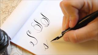 The Letter S | Basic Calligraphy Tutorial