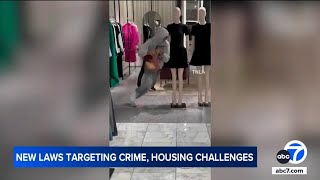 New CA laws in 2025 combat smash-and-grabs and housing challenges