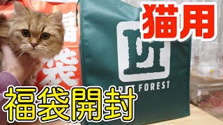 【これは買い！】猫用の福袋購入いたら驚きの中身で大興奮！！