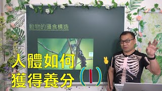 🆕最新課綱~七年級自然 人體如何獲得養分(1)🆕