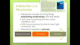 Unit1 interaction: General Process