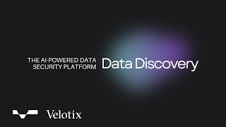 What is Data Discovery? It's Importance & Process