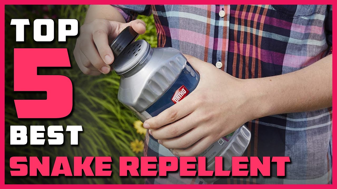 Top 5 Best Snake Repellents Review 2022 - [Natural, Non-toxic Snake ...