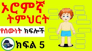 Ethiopia: የኦረምኛ ቋንቋ ትምህርት | ክፍል 5 | Learn Affan oromo in Amharic language | Part 5 |