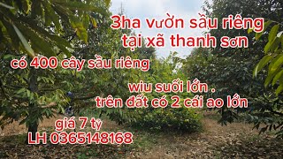 3ha vườn sầu riêng . tại xã thanh sơn . wiu suối lớn . LLH0365148168